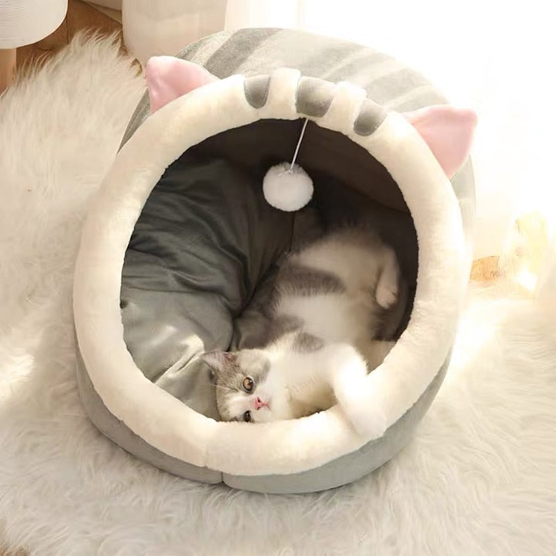 Cozy Themed Cat Beds